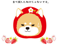 ichigo_2