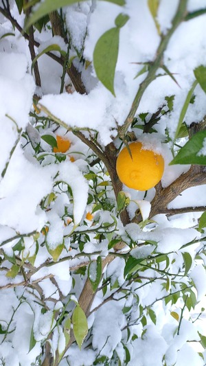 KIMG20231222_072436473