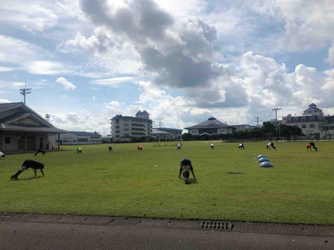 鳳凰高等学校女子サッカー部 備忘録 鳳凰高等学校女子サッカー部 備忘録