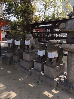 大隅神社 (2)