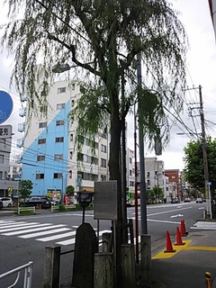 見返り柳 (1)