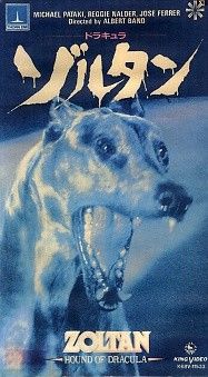 zoltan.jpg