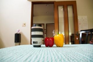 IMG_3665 (320x213)