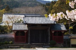 IMG_0784 (320x213)