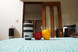 IMG_3682 (320x213)