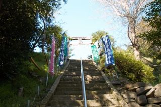 IMG_0438 (320x213)