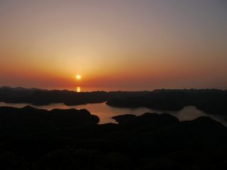 P1060679 (320x240)