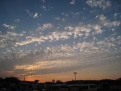 夕日
