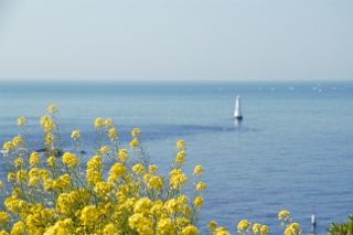 IMG_0654 (320x213)