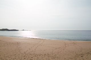 IMG_0191 (320x213)