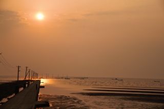 IMG_1208 (320x213)