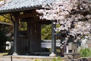 IMG_0299 (320x213)
