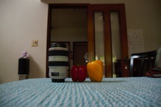 IMG_3676 (320x213)