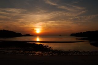 IMG_0495 (320x213)