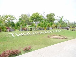 P1020337 (320x240)