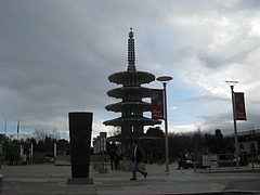 サンフランシスコ144