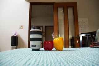 IMG_3679 (320x213)