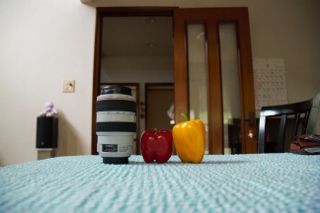 IMG_3674 (320x213)
