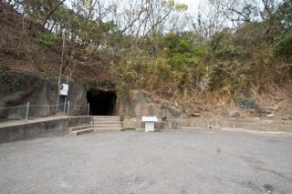 IMG_1134 (320x213)