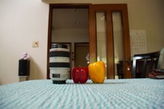 IMG_3675 (320x213)