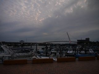 P1080932 (320x240)