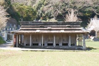 IMG_0734 (320x213)