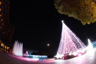IMG_1986 (320x213)