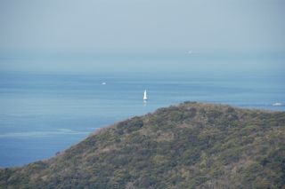 IMG_0637 (320x213)