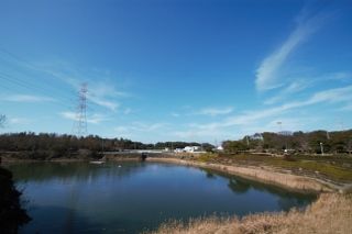 IMG_2251 (320x213)