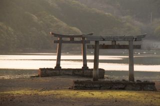 IMG_0878 (320x213)