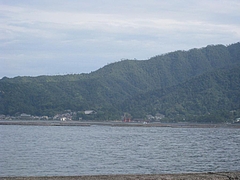 遠くに見える厳島神社の鳥居