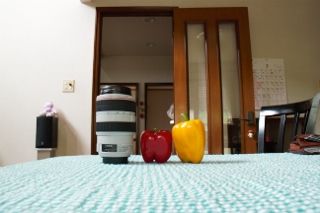 IMG_3681 (320x213)