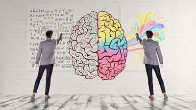 160422brain_develop-w960 (1)