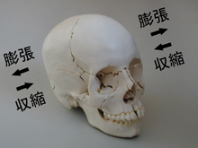 DSCN7906yaji32