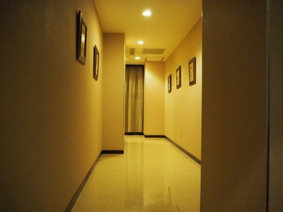25428297_s