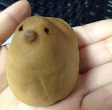 ダウンロード (4)