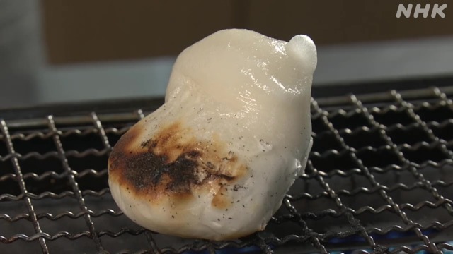 【速報】最終兵器「モチ」猛威を振るう : 凹凸ちゃんねる