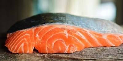 salmon-3139390_640