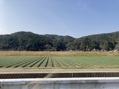 女の子「田舎に住んだらライブハウスも美術館もなくて死んだ。なぜ田舎者はサブカルなしで生きてられるの？」