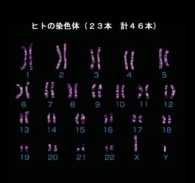 e8be99475375a8b2c50261b4d69b51ac
