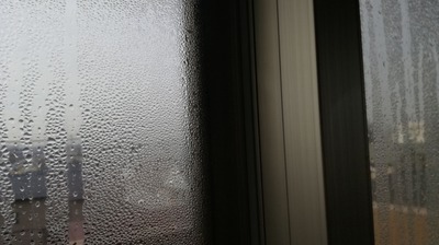 4459550_s