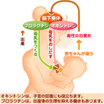 ダウンロード