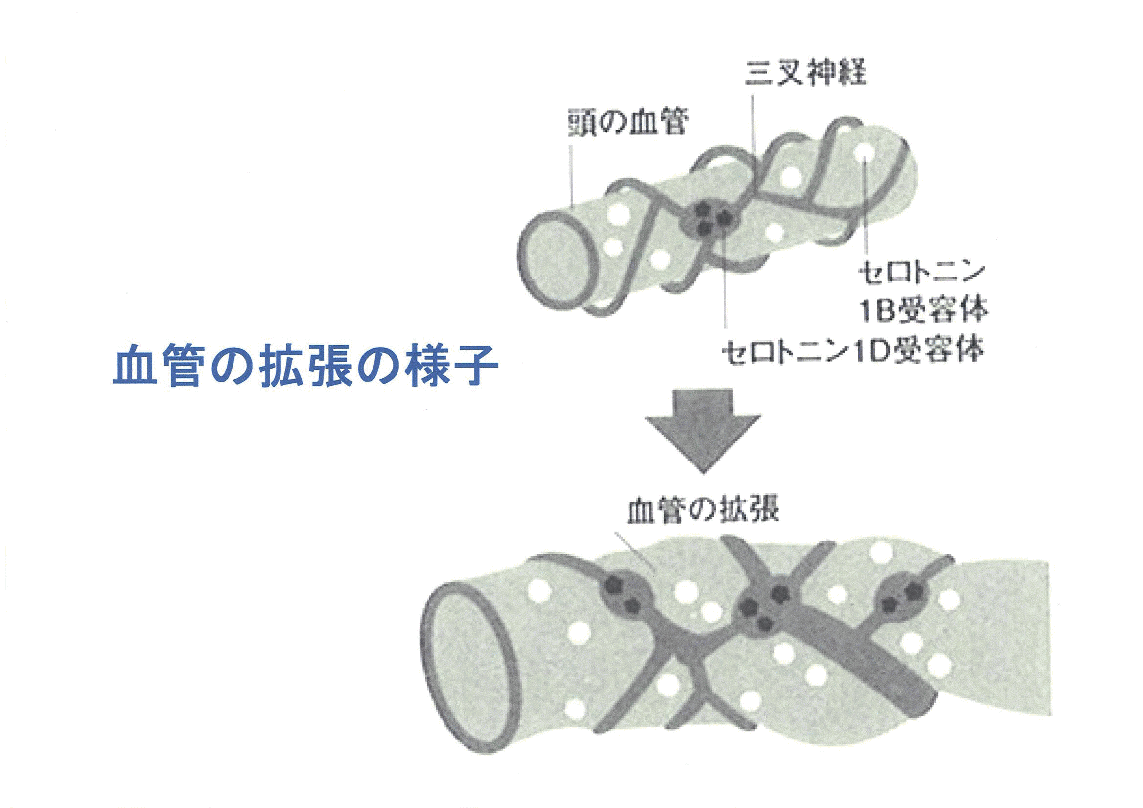 凹凸ちゃんねる