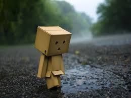 images (13)