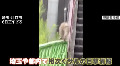 スクリーンショット 2024-10-09 15.22.35