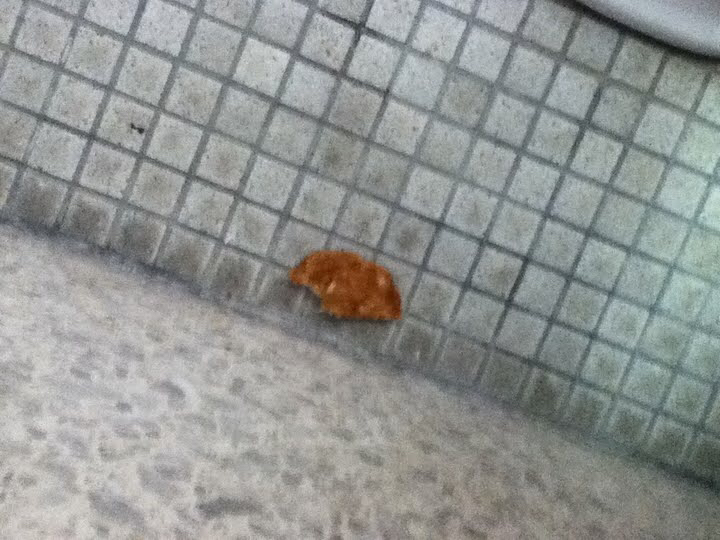 凹凸ちゃんねる