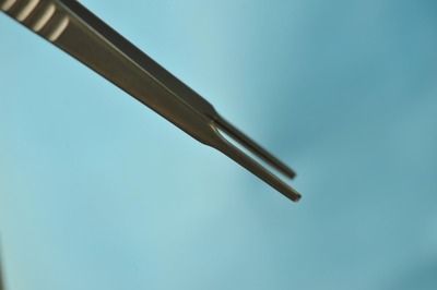 24825758_s