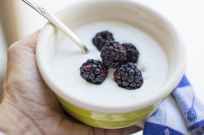 yogurt-gc2e8be171_640