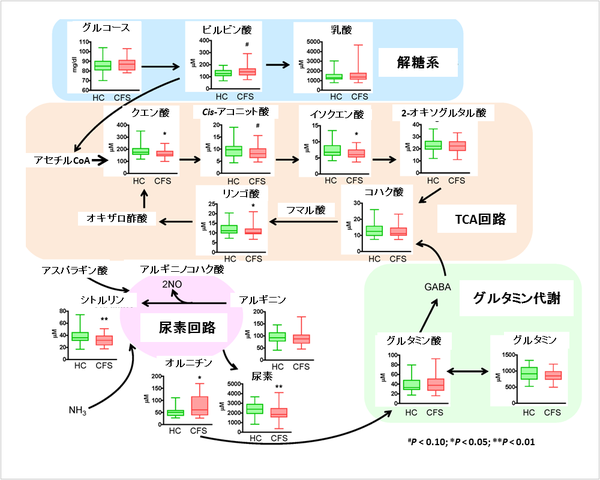 凹凸ちゃんねる