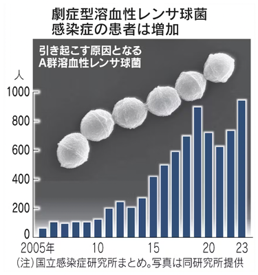 【速報】致死率3割の『劇症型溶連菌』 過去最多の勢いで広まる… : 凹凸ちゃんねる